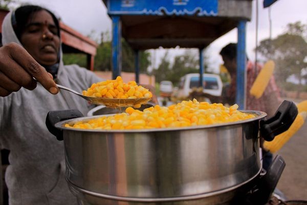 Món ngô cuốn hút rất nhiều khách du lịch ở Ấn Độ.